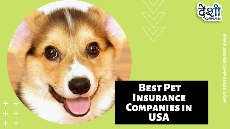 Best Pet Insurance Companies in USA